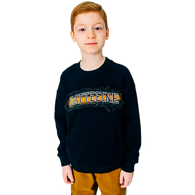 Свитшот для мальчика Colabear 620101 черный 1